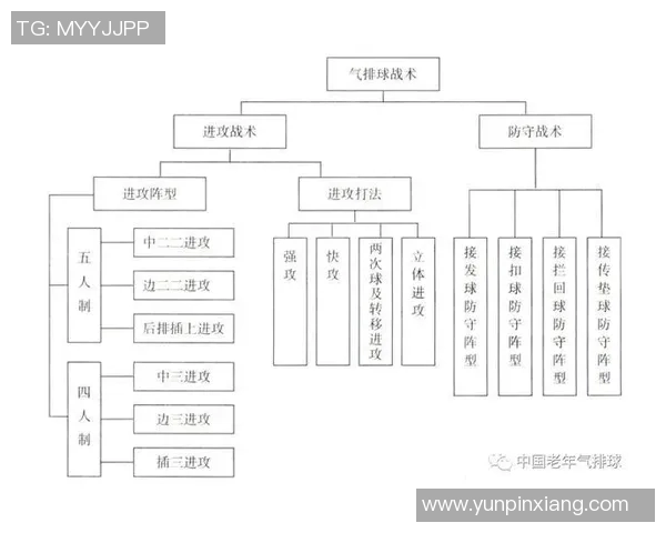 成都排球队在精英赛中的战术表现分析与点评探讨