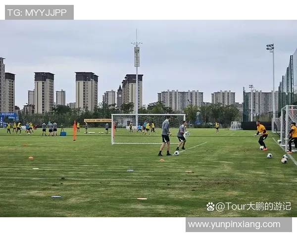 西安足球队在城市联赛中的实力分析与表现评估